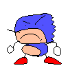 Dashlilhog