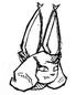 tweaked rynchan